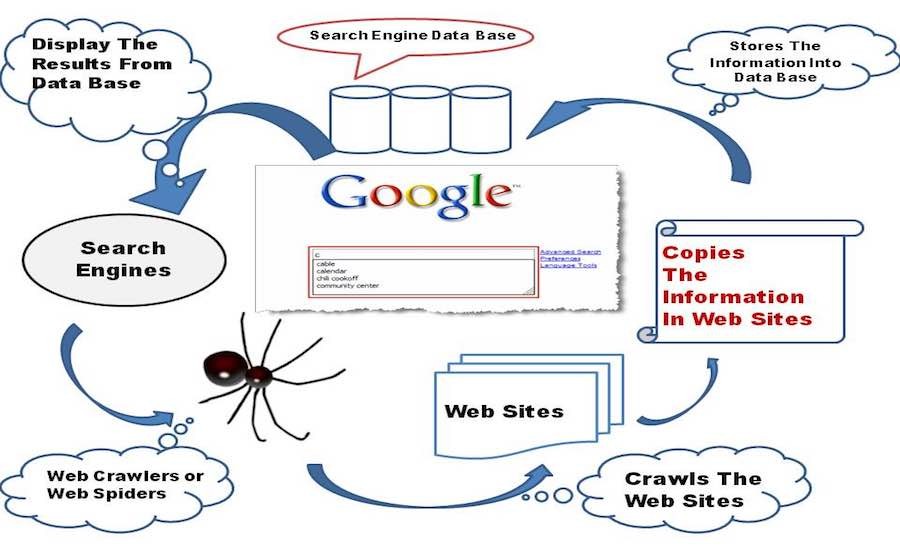 Discover How Google Search Works