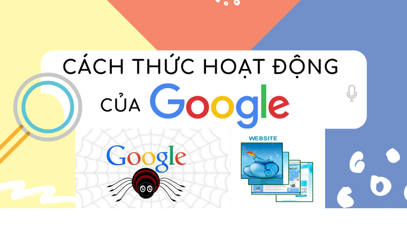 Khám phá cách thức hoạt động của Google Search