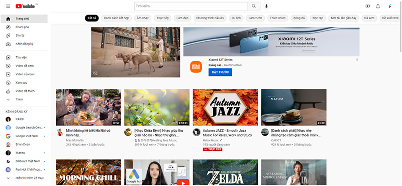 Các định dạng quảng cáo Youtube quảng cáo Google trong thực tế triển khai