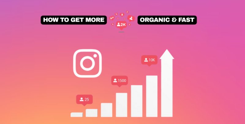 The Best App to Grow Instagram Followers for Sustainable Growth