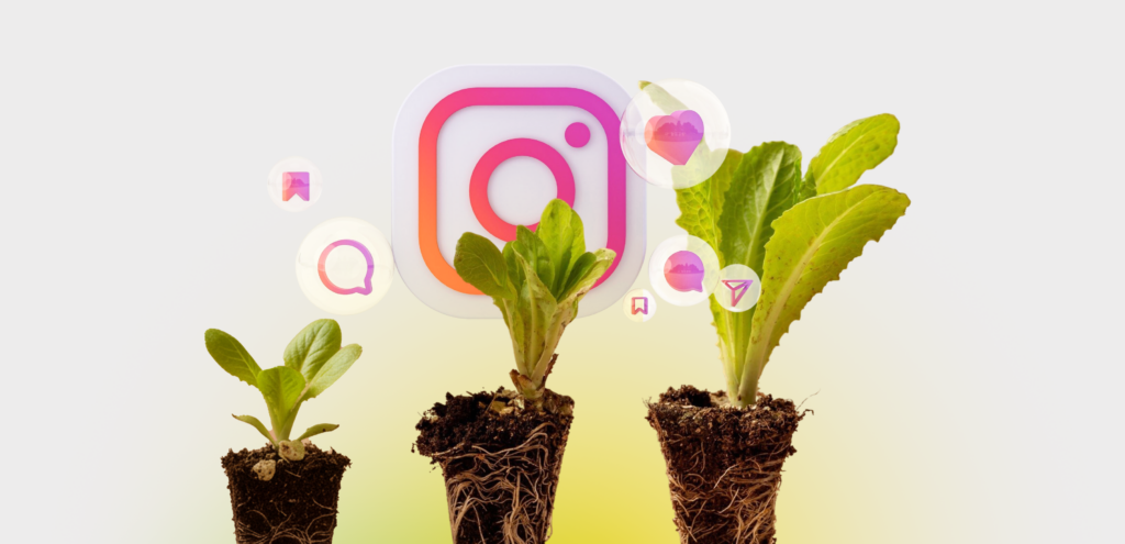 What the Cost Reflects Beyond Follower Numbers instagram