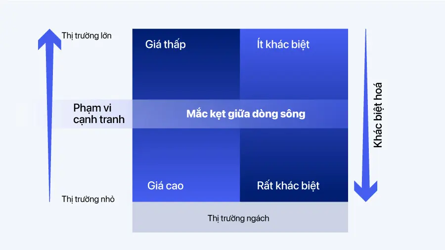 Chiến lược định vị và xác định thị trường ngách