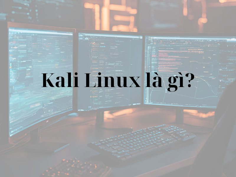 Tại sao Kali Linux là một thị trường ngách cực kỳ tiềm năng trên Instagram?