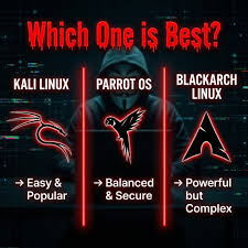 Why is Kali Linux an extremely potential niche on Instagram?