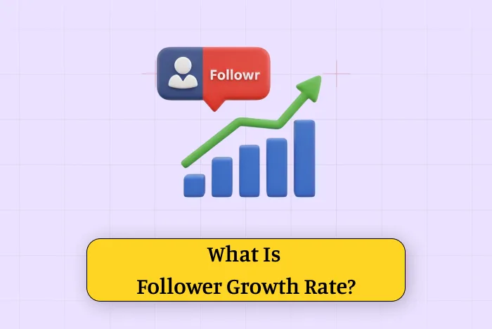 Categorizing Common Follower Growth Platforms