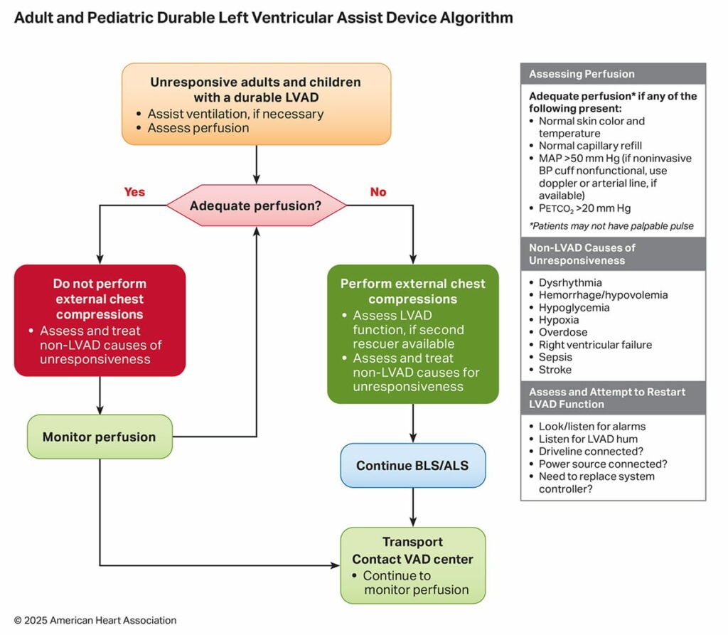 Emergency Plan to Reactivate Algorithmic Recommendations